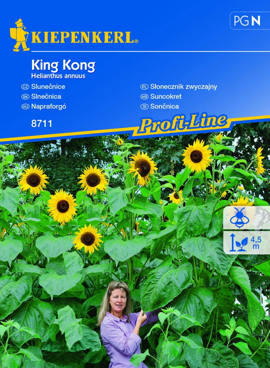 17585