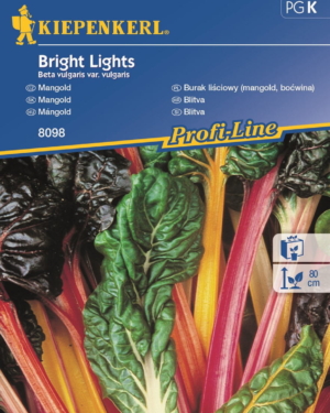 Burak liściowy 'Bright Lights' – Boćwina – Kiepenkerl