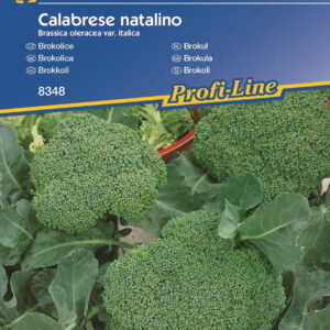Brokuł 'Calabrese natalino' – Tradycyjny – Kiepenkerl