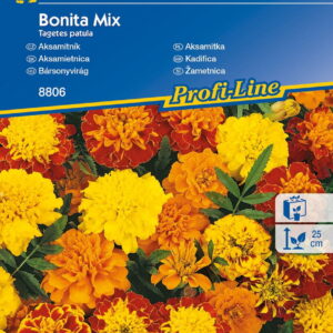 Aksamitka 'Bonita' – Mix Nasion – Kiepenkerl