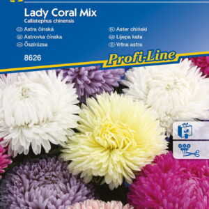 Aster Chiński 'Lady Coral' – Mix Nasion – Kiepenkerl