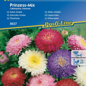 Aster Chiński 'Prinzess' – Mix Nasion – Kiepenkerl