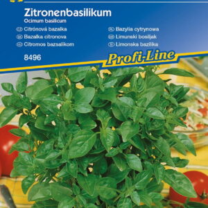Bazylia Cytrynowa – Kiepenkerl
