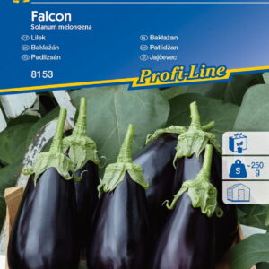 Bakłażan 'Falcon' F1 – Nasiona Kiepenkerl