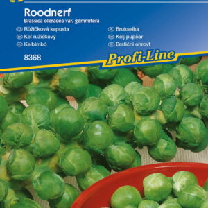 Brukselka 'Roodnerf'