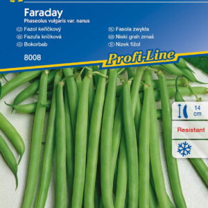 Fasola zwykła 'Faraday'