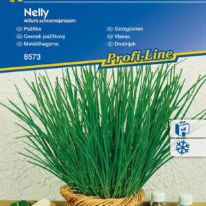 Szczypiorek 'Nelly' – Całoroczny – Kiepenkerl