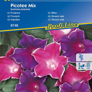 Wilec 'Picotee' – Mix – Kiepenkerl
