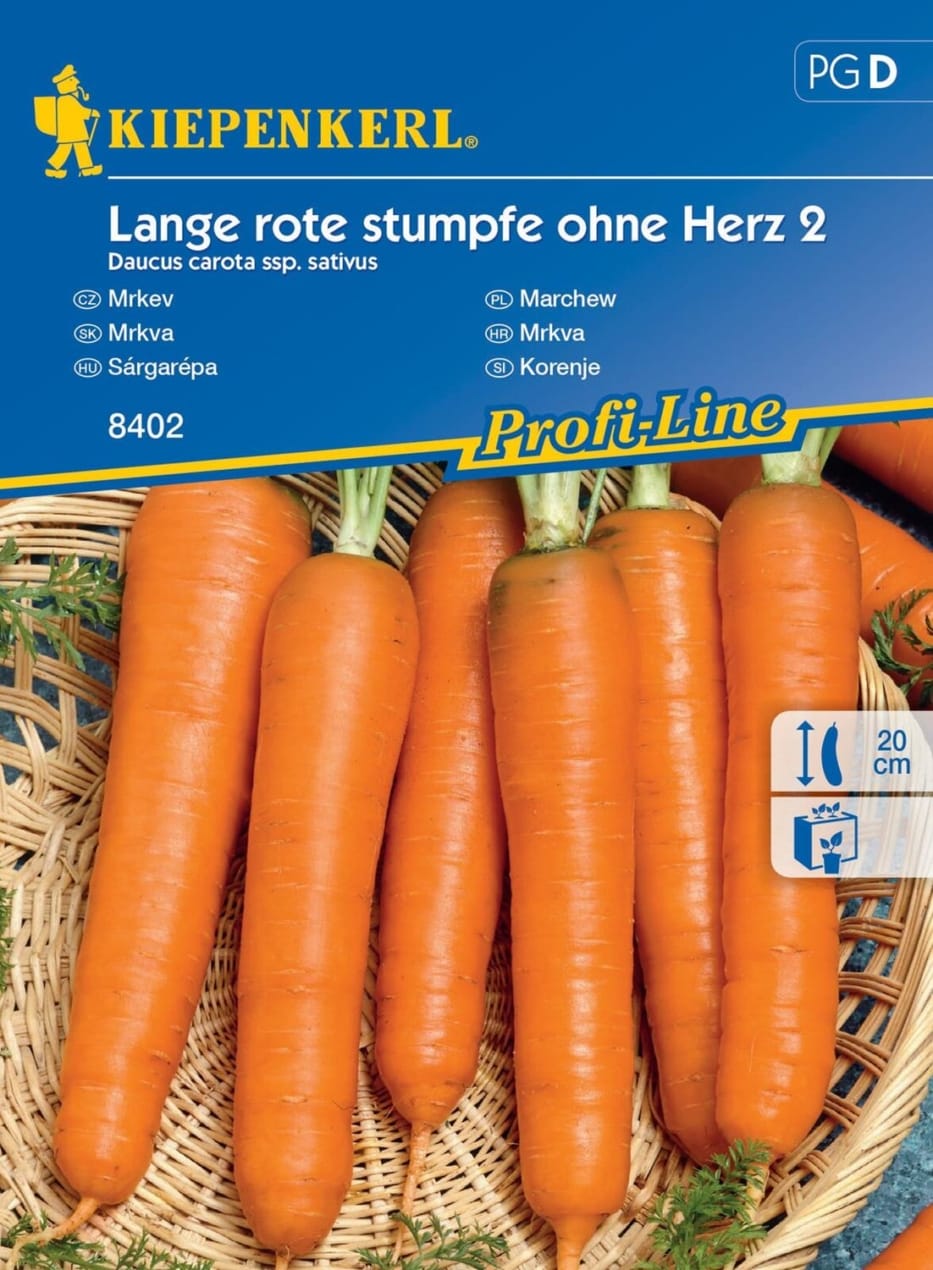 18531