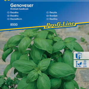 Bazylia Genoveser – Kiepenkerl