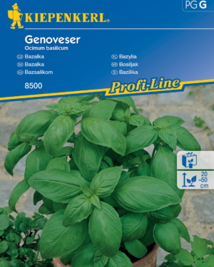 Bazylia Genoveser – Kiepenkerl