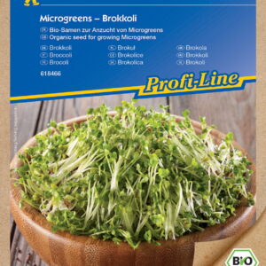 Brokuł Brokkoli - nasiona na microgreens - Kiepenkerl