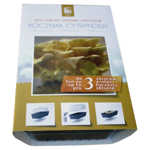 Zestaw do uprawy grzybów – Boczniak cytrynowy – 3 l Exotic Grow