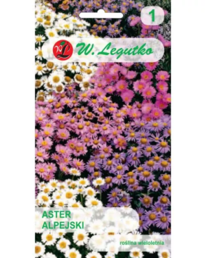 Aster alpejski – mix – 0,3 g Legutko
