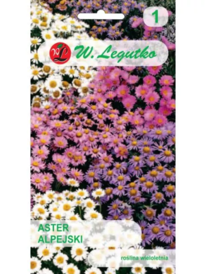 Aster alpejski – mix – 0,3 g Legutko