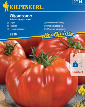 Pomidor mięsisty ,,Gigantomo‘’ F1 - Kiepenkerl