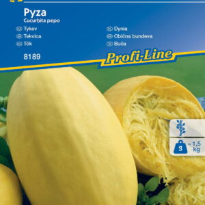 Dynia ,,Pyza‘’ - Kiepenkerl