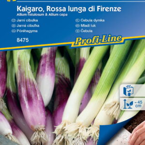 Cebula dymka Kaigaro ,,Rossa lunga di Firenze‘’ - Kiepenkerl