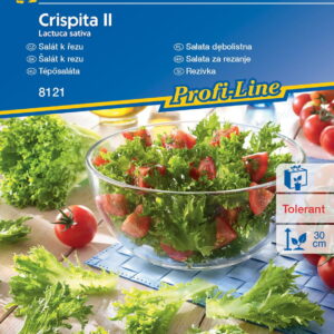Sałata dębolistna ,,Crispita II’’ – Kiepenkerl