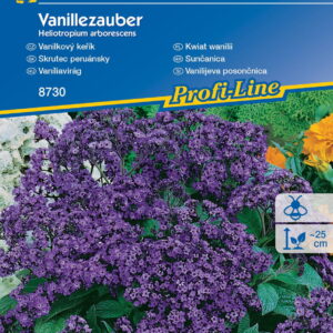 Kwiat wanilii  ,,Vanillezauber’’- Kiepenkerl