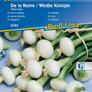 Cebula De la Reine ,,Weiße Königin ‘’ – Kiepenkerl