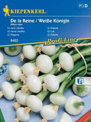Cebula De la Reine ,,Weiße Königin ‘’ – Kiepenkerl