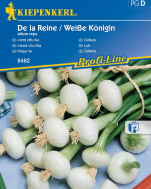 Cebula De la Reine ,,Weiße Königin ‘’ – Kiepenkerl