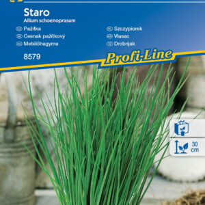 Szczypiorek ,,Staro’’ – Kiepenkerl