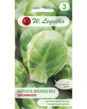Brukselka Groninger 1 g Legutko