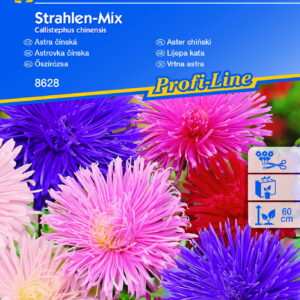Aster chiński 'Strahlen-Mix' - Nasiona - Kiepenkerl