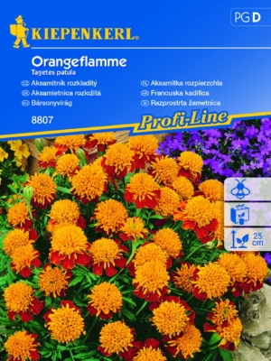 Aksamitka rozpierzchła 'Orangeflamme' - Nasiona - Kiepenkerl