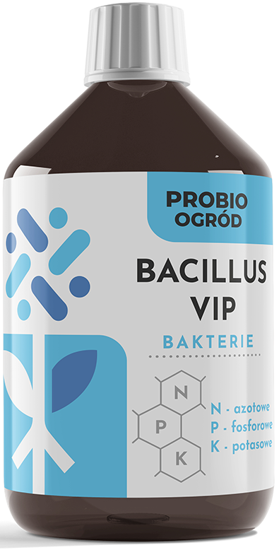 Mockup-Bacillus-Vip-2