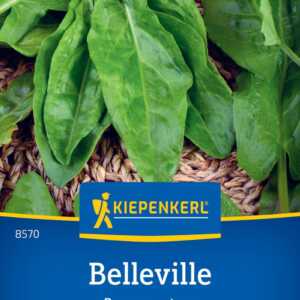 Szczaw zwyczajny Belleville Kiepenkerl