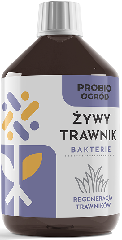 Zywy-trawnik