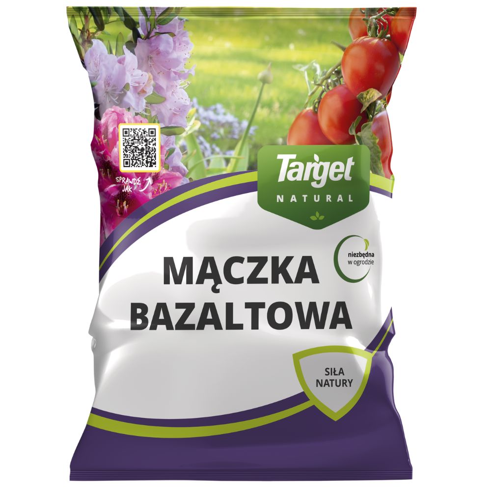 przód