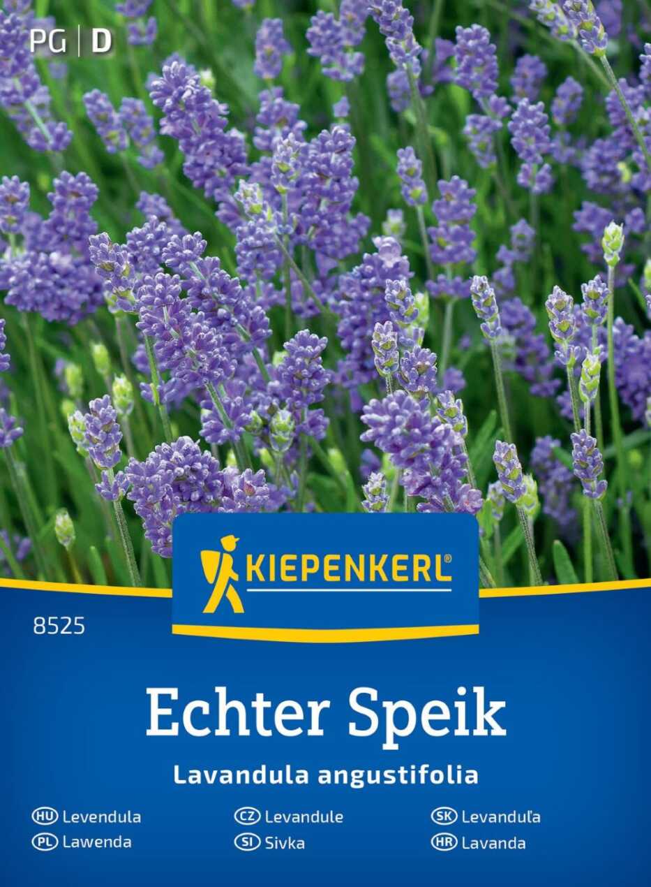 Lawenda Echter Speik przód