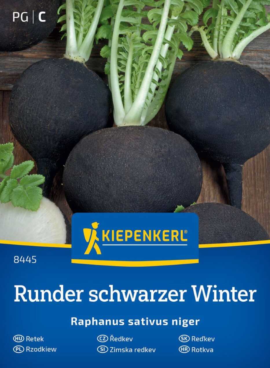 Rzodkiew Runder schwarzer Winter przód