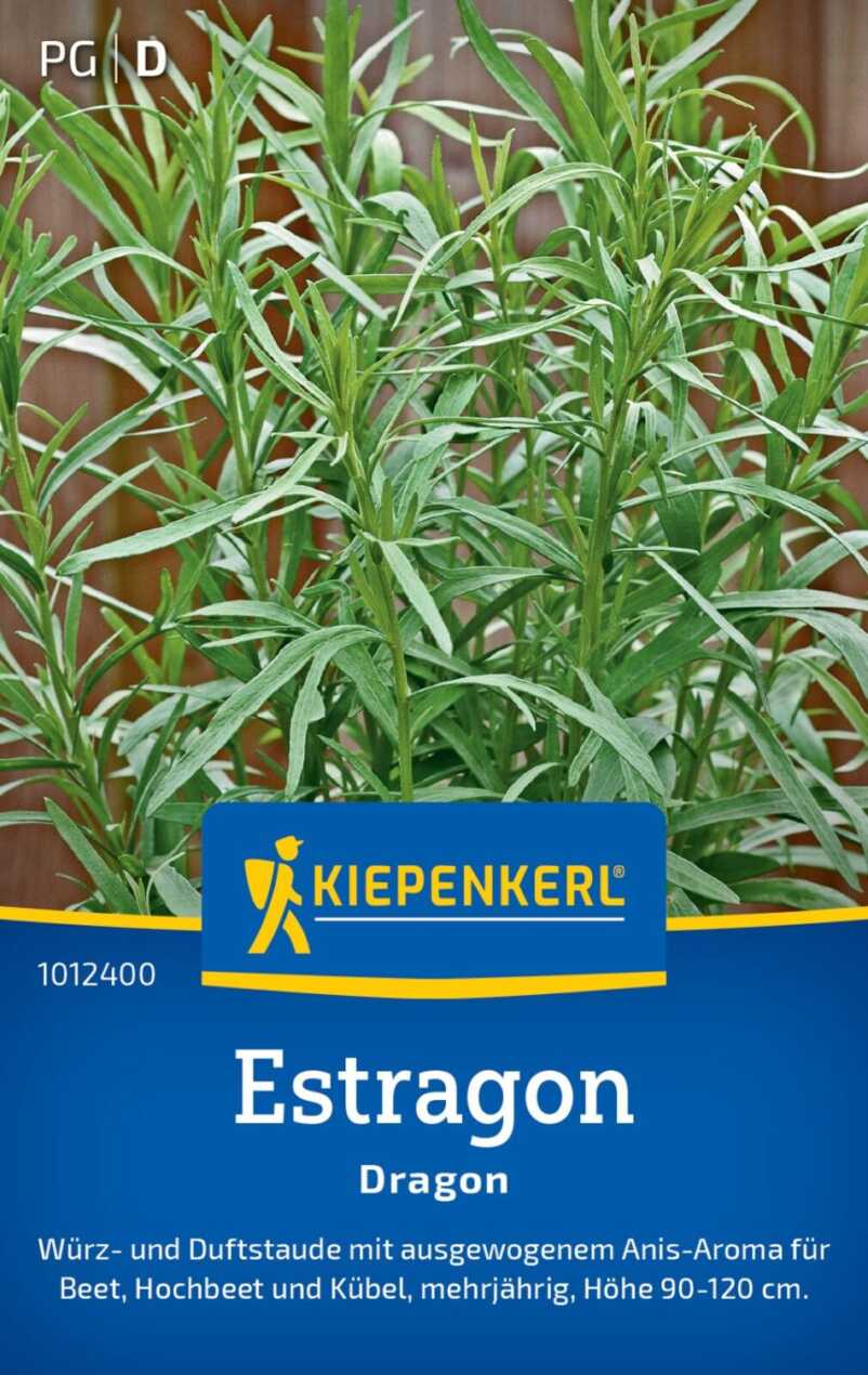 01012400-000-00_VS_Estragon Dragon_4099682124001