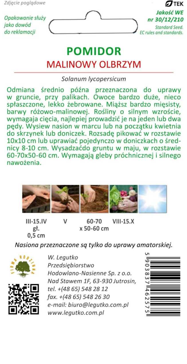 LEG1223_Pomidor wysoki malinowy olbrzym tył