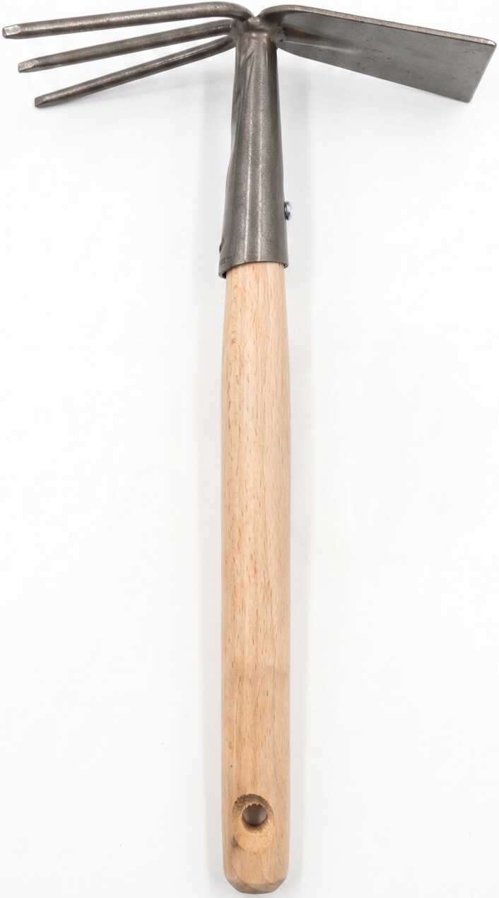 5 (2)